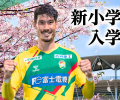 波波体育