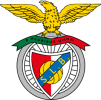 波波体育