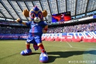 波波体育