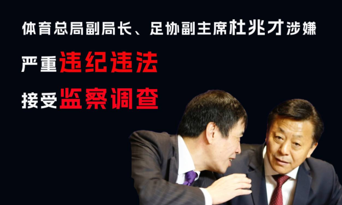 杜兆才接受监察调查